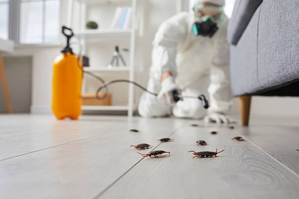Commercial Kitchen Cockroach Control in North Branch